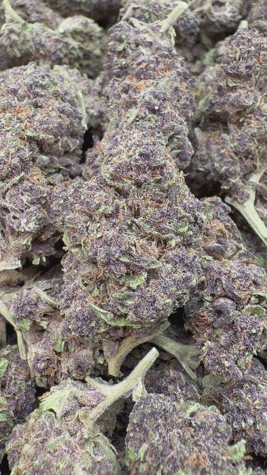 Cargar vídeo: Granddaddy Purple - A granel - Indica