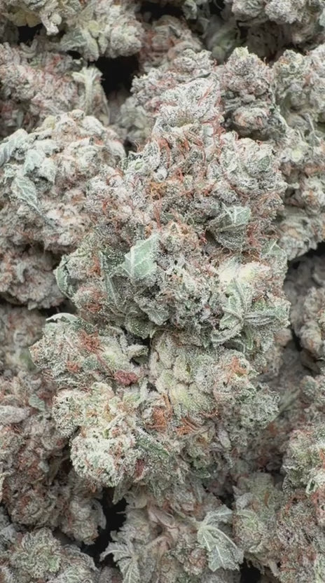 Cargar vídeo: Gorilla Glue Indoor - A granel - Híbrido
