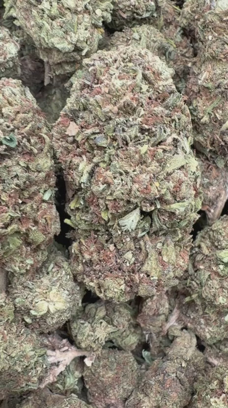 Load video: 24K Gold - Bulk - Indica
