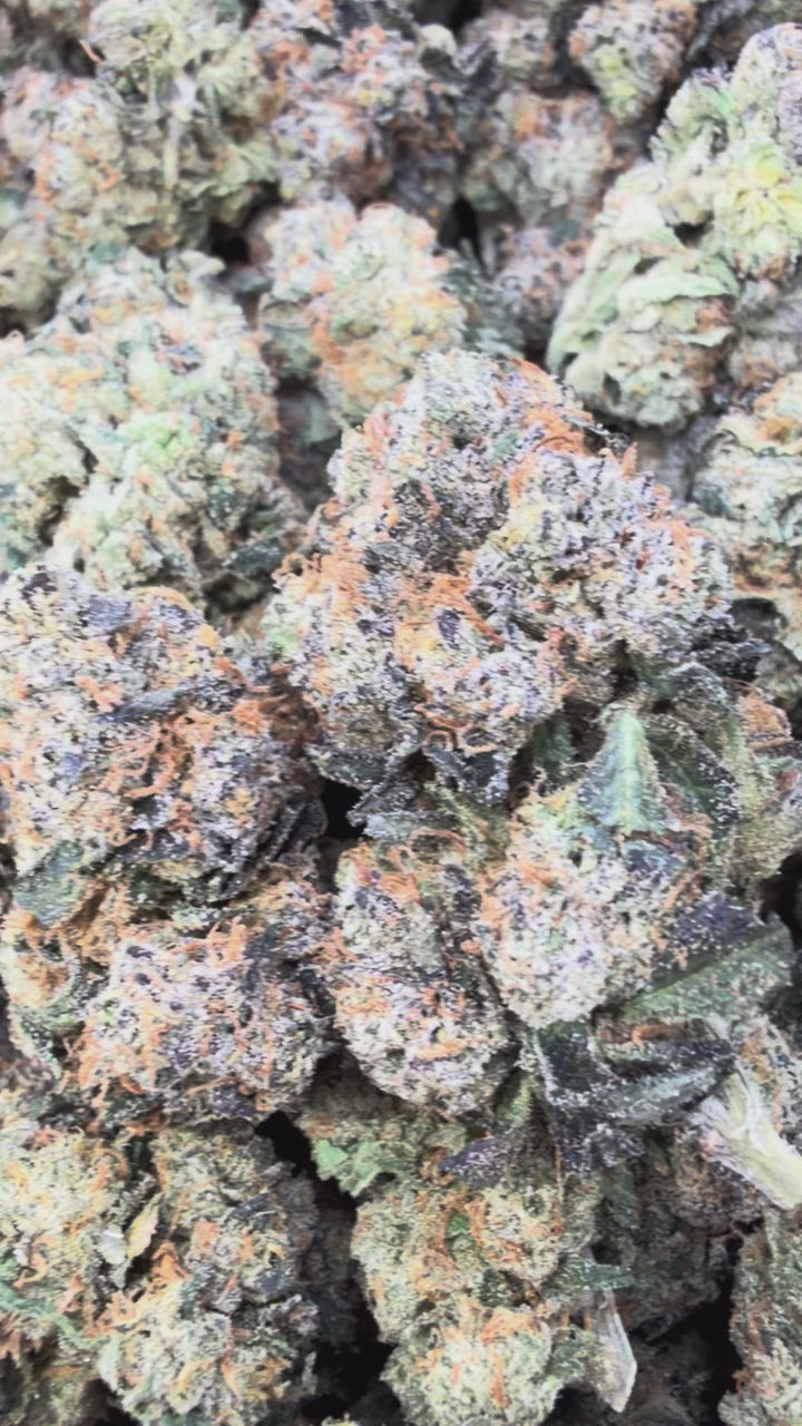 Load video: Jet Fuel Gelato - Bulk - Hybrid