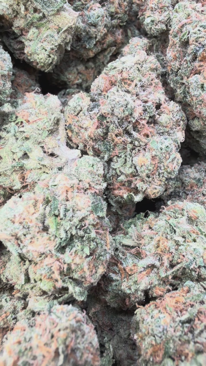 Load video: Double Dream - Bulk - Sativa