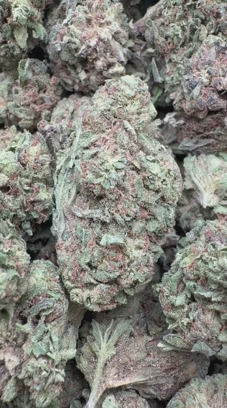 Load video: Durban Poison - Bulk - Sativa