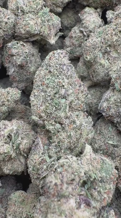 Load video: Icy Pop - Bulk - Hybrid