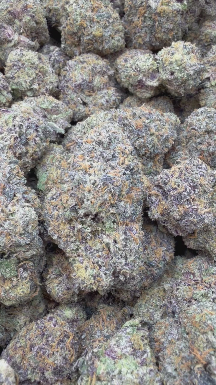 Load video: Zoapz Indoor - Bulk - Hybrid