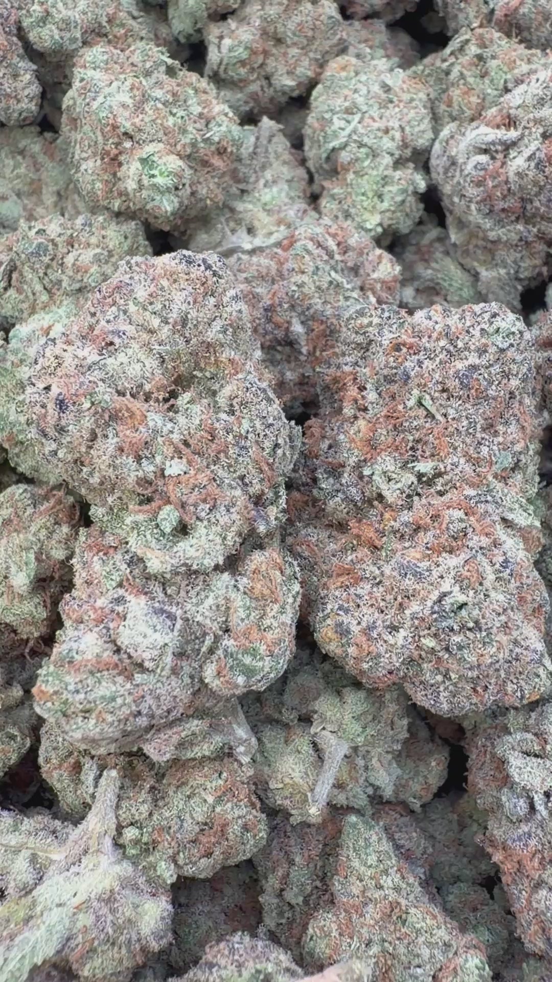 Cargar vídeo: Jarabe de arándanos - A granel - Indica