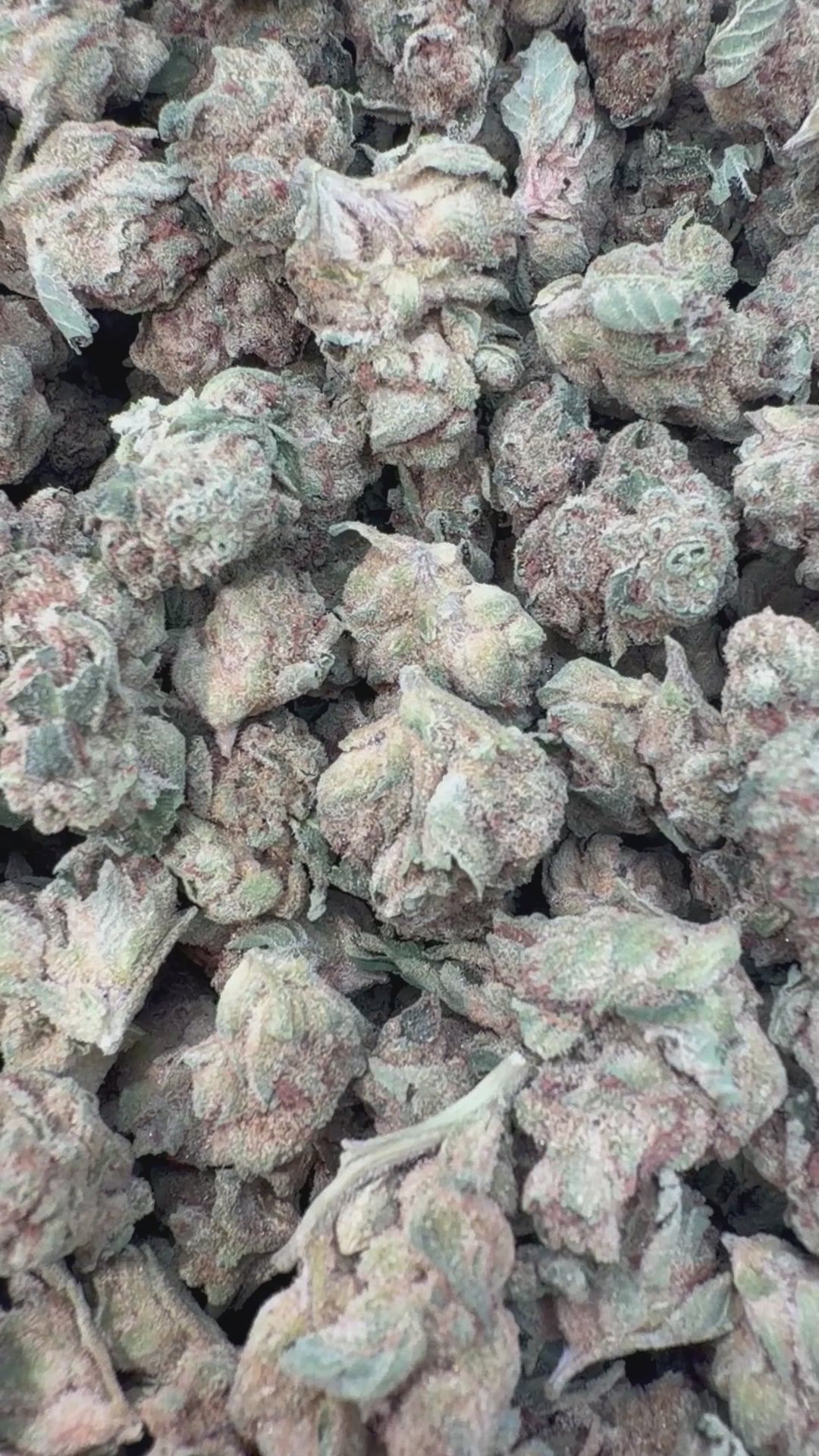 Cargar vídeo: Banana Runtz Littles - Littles a granel - Híbrido