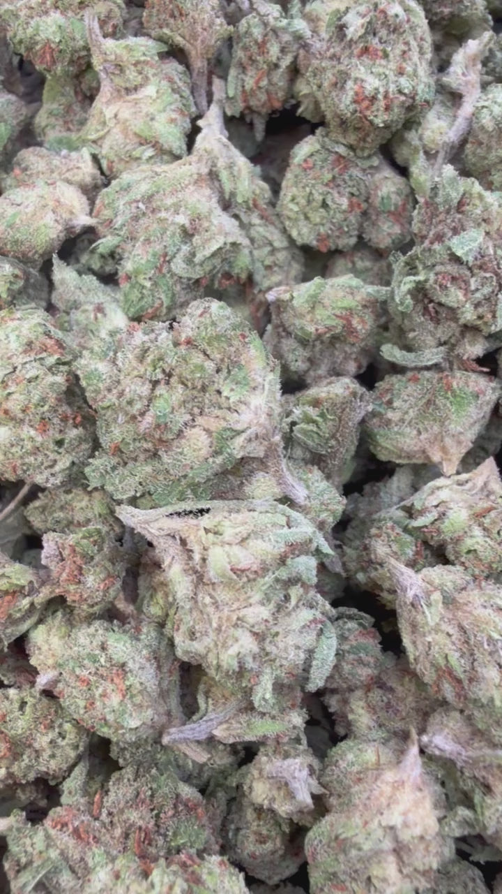 Load video: Jack Herer Littles - Bulk Littles - Sativa