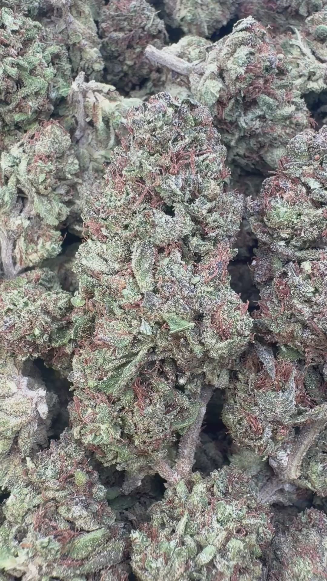 Load video: Slurricane - Bulk - Indica