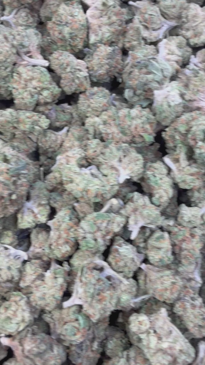 Load video: Wedding Crasher Littles - Bulk Littles - Hybrid