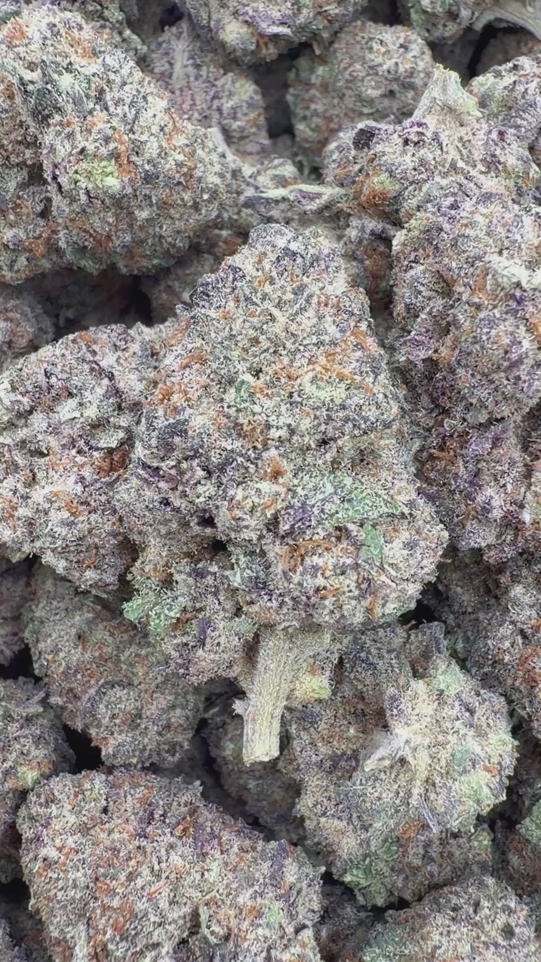 Load video: Gelonade Indoor - Bulk - Sativa