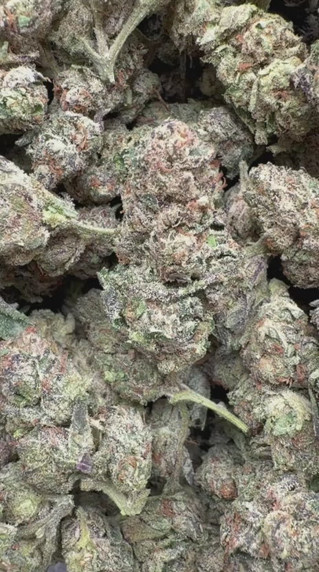 Load video: Jolly Ranchers Indoor - Bulk - Indica