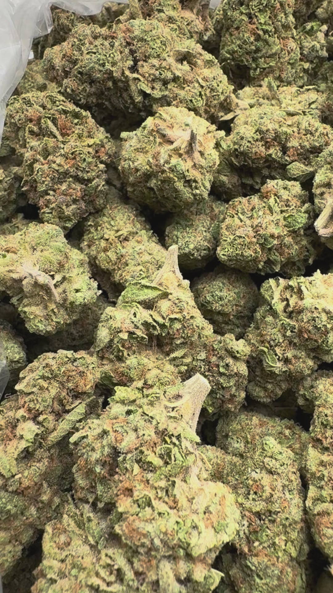 Load video: Nimbus Snacks - Bulk - Hybrid