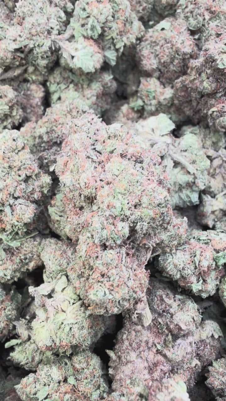 Load video: Ice Cream Cake - Bulk - Indica