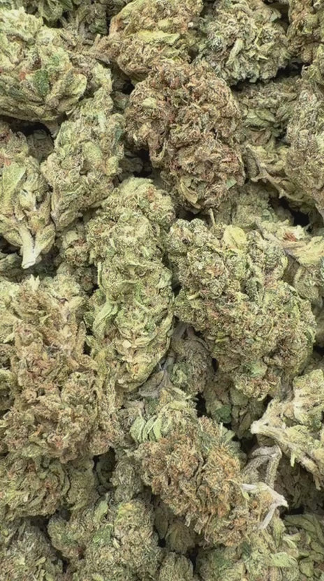 Load video: Girl Scout Cookies - Bulk - Hybrid