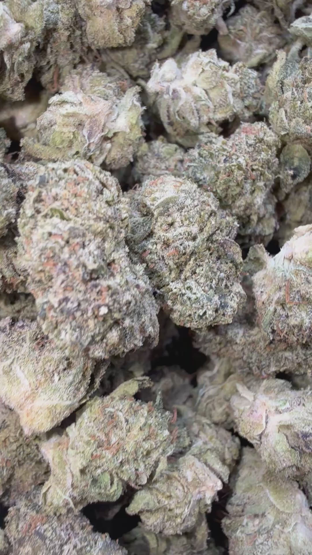 Load video: Gruntz Littles - Bulk Littles - Indica