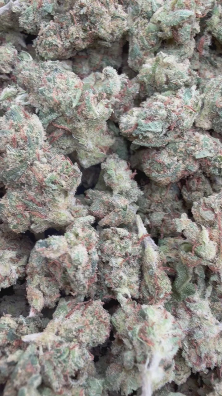Load video: Trainwreck Littles - Bulk Littles - Hybrid