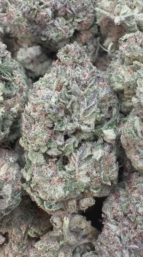 Load video: Ice Cream Cake - Bulk - Indica