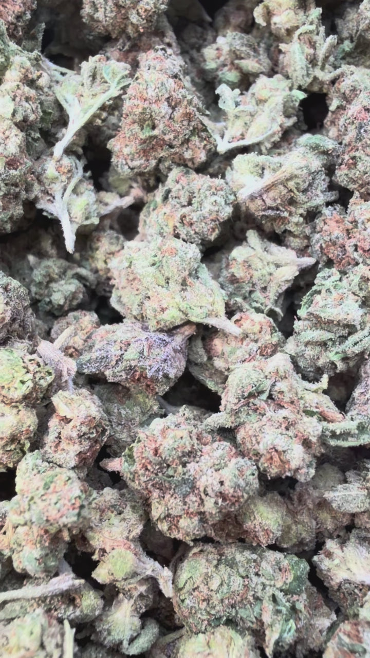 Load video: LA Runtz Littles - Bulk Littles - Hybrid