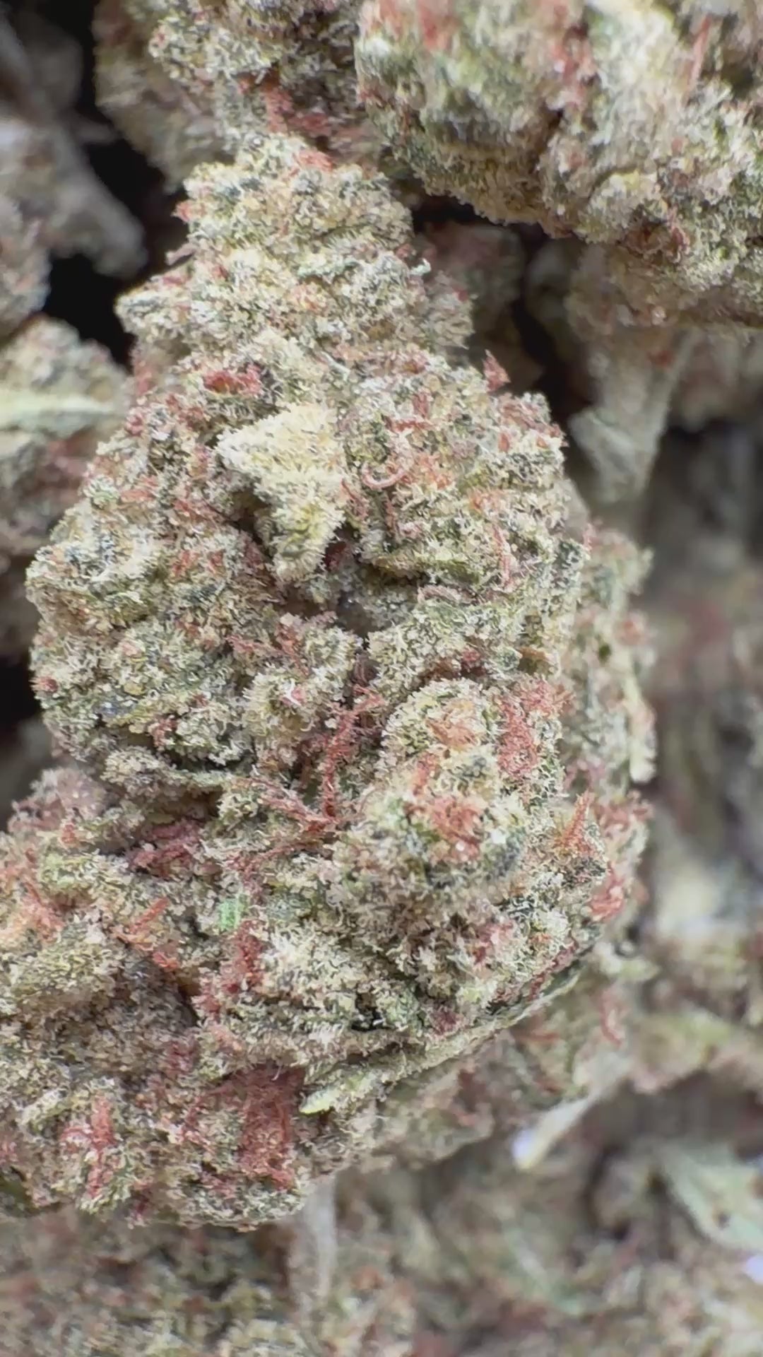 Cargar vídeo: Lemon Sherbs - A granel - Indica