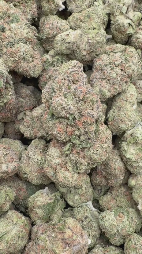 Load video: Birthday Cake - Bulk - Indica