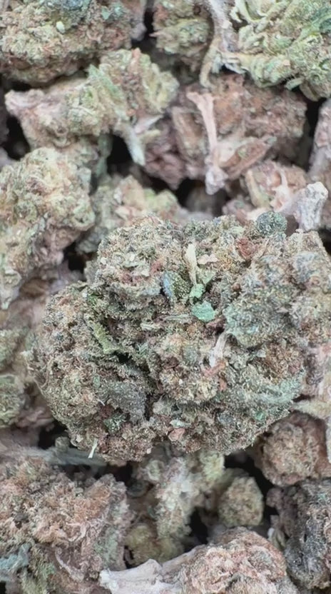 Load video: Thin Mintz Littles - Bulk Littles- Hybrid