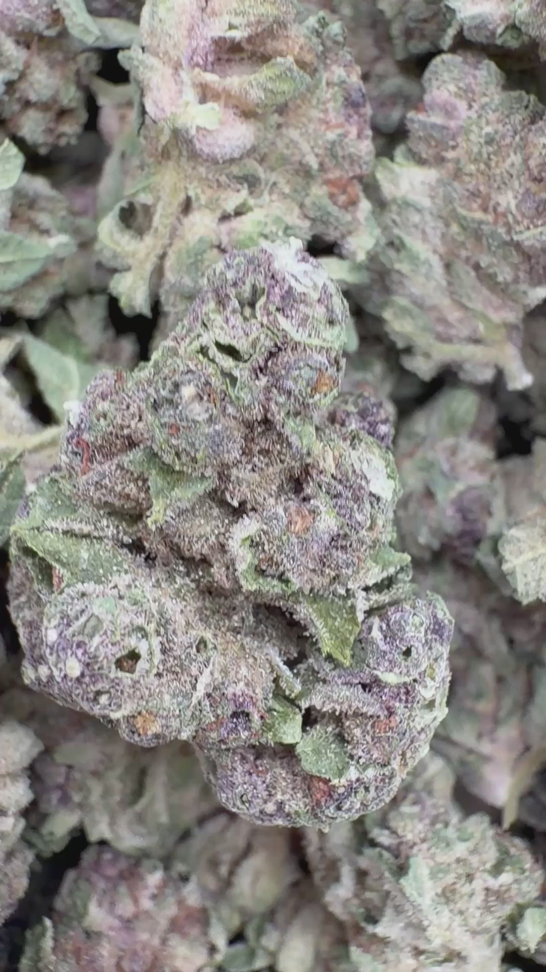 Load video: Super Boof - Bulk - Hybrid