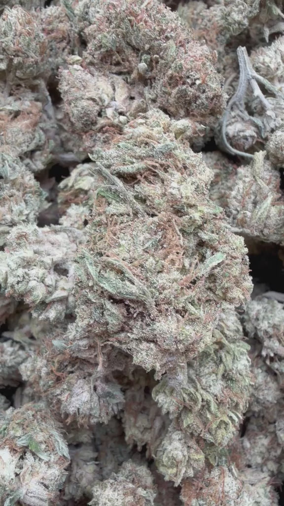 Cargar vídeo: Purple Octane - A granel - Indica