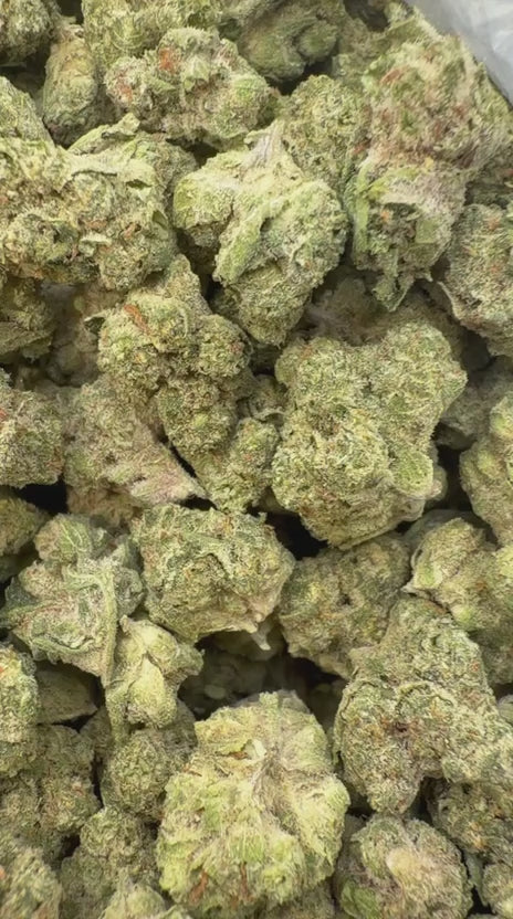 Cargar vídeo: Cherry Runtz - Bulk - Híbrido 