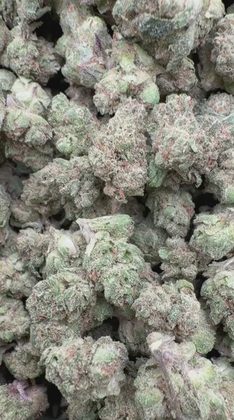 Load video: Horchata Gas Littles - Bulk Littles - Hybrid