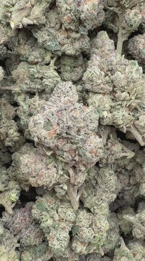 Load video: Runtz x Grease Monkey - Bulk - Indica