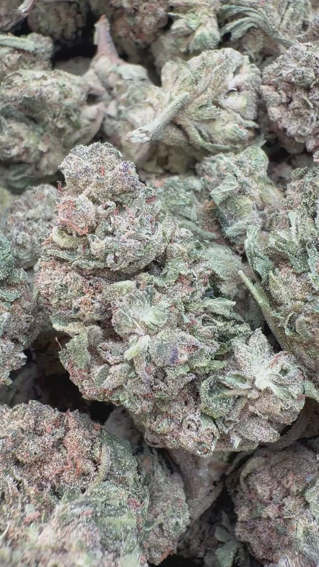 Cargar vídeo: Refresco de uva - A granel - Sativa