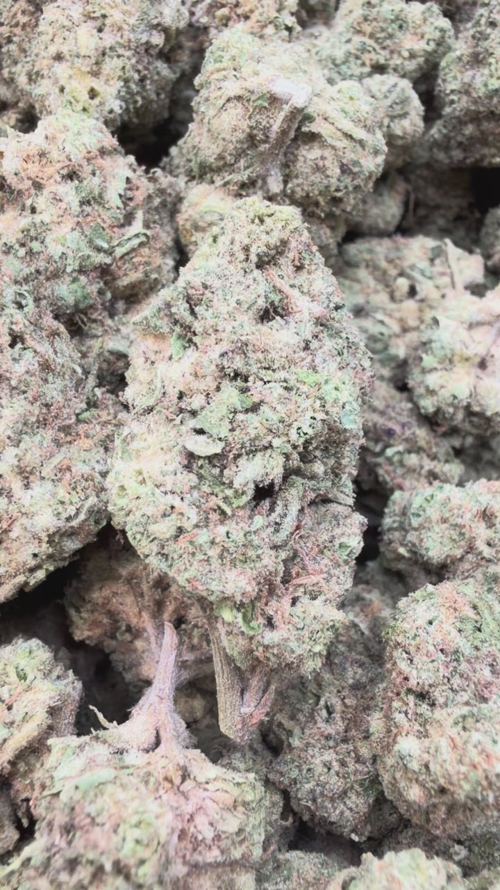 Load video: Pink Panties - Bulk - Indica