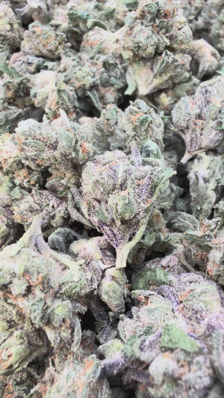 Load video: Jungle Gelato Littles - Bulk Littles - Indica