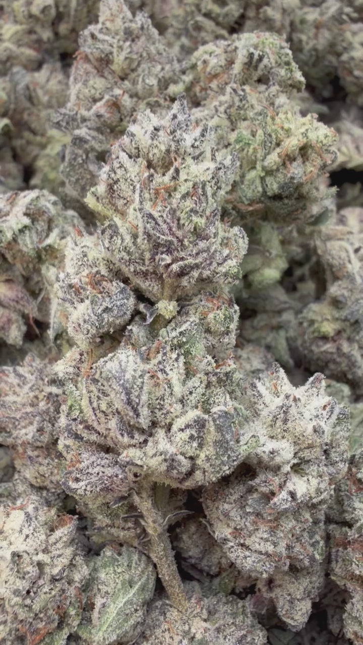 Load video: Cookies and Cream - Bulk - Hybrid