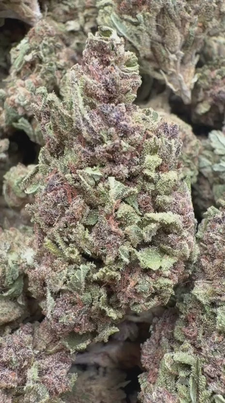 Cargar vídeo: Kush Mintz - A granel - Híbrido
