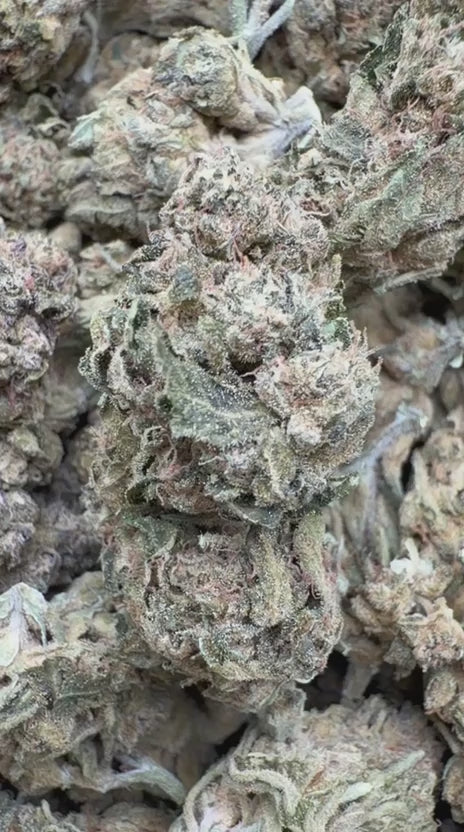 Load video: Sour Apple - Bulk - Hybrid