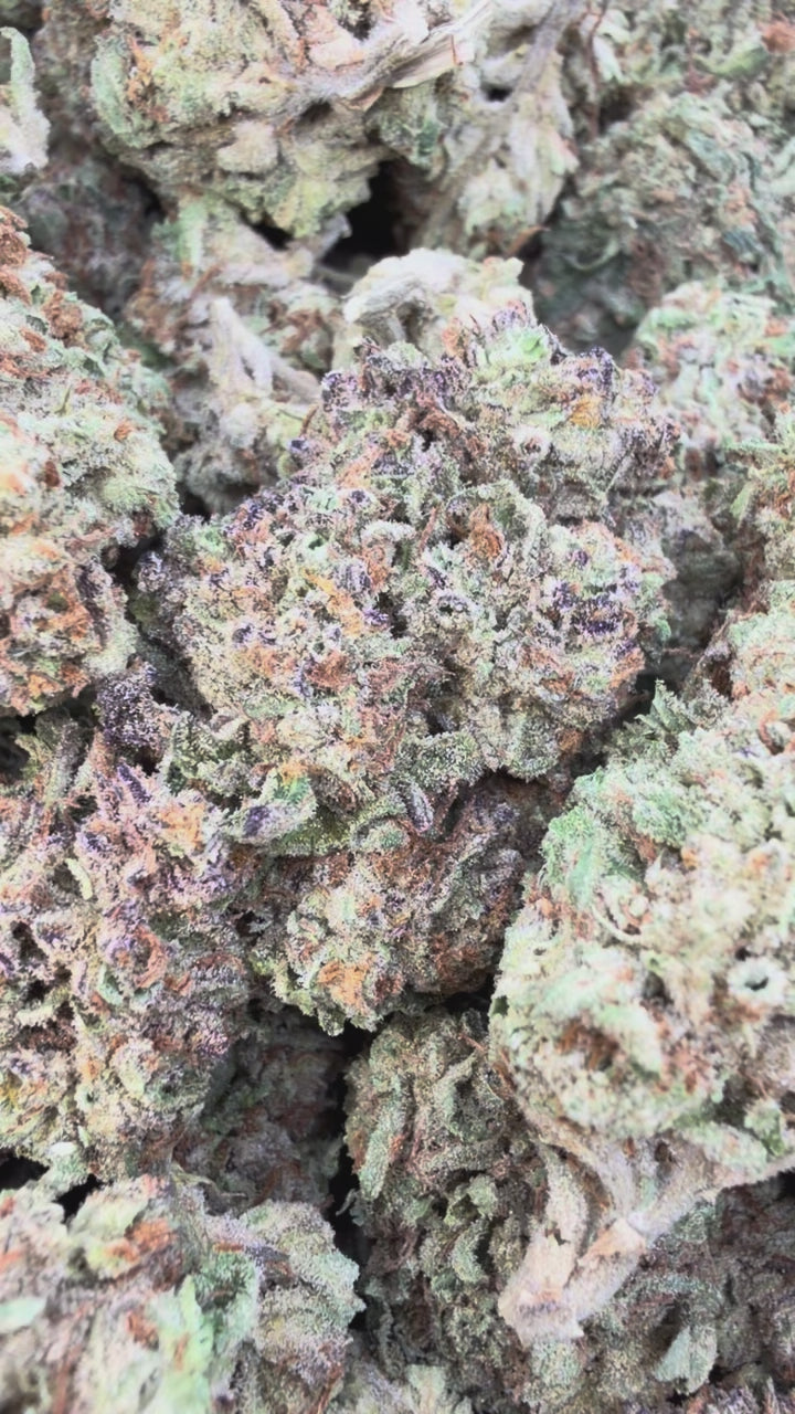 Load video: Zereal - Bulk - Hybrid