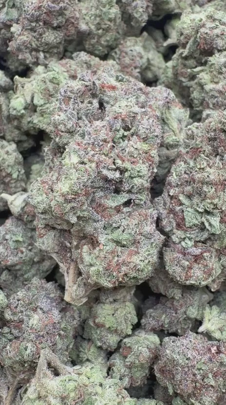 Load video: Gusher Mintz - Bulk - Indica
