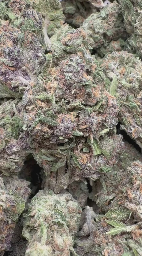 Cargar vídeo: Blue Sherbs Littles - Littles a granel - Sativa
