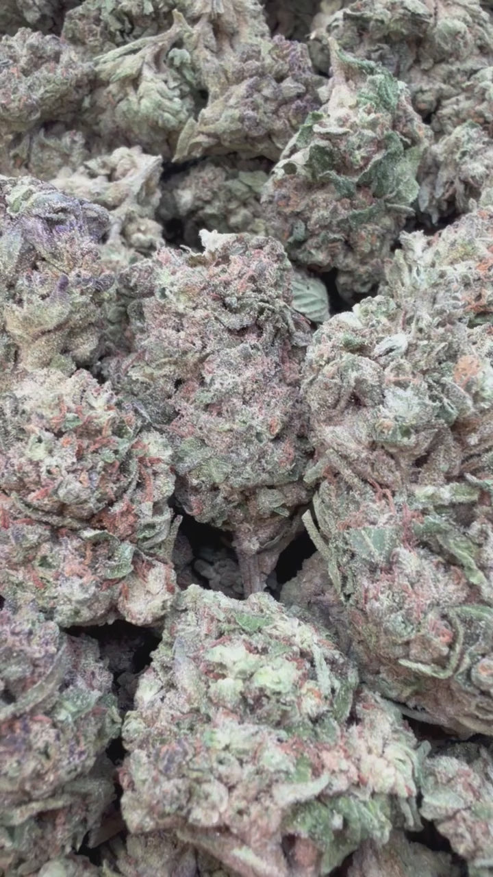 Load video: Bubba Kush - Bulk - Indica
