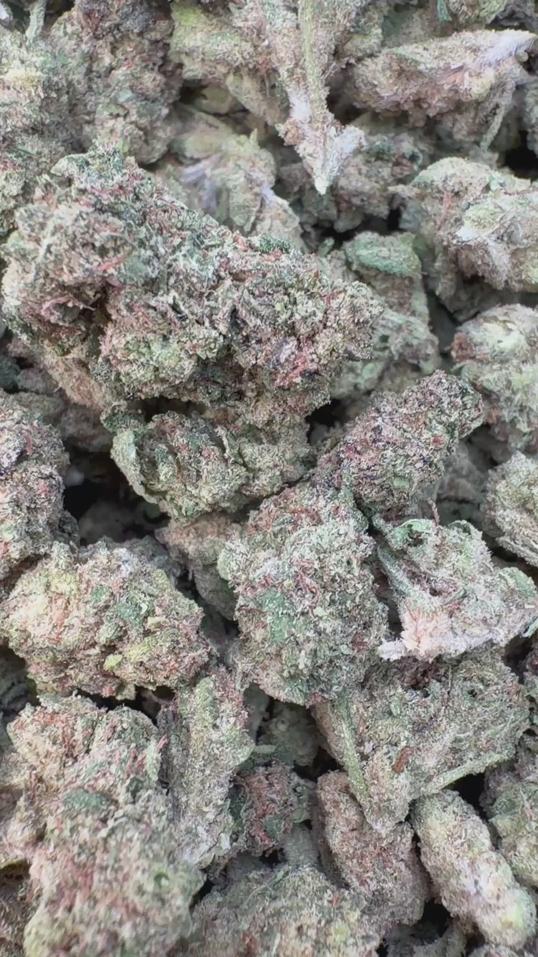 Cargar vídeo: Medios Mintz Modificados - Medios a Granel - Indica 