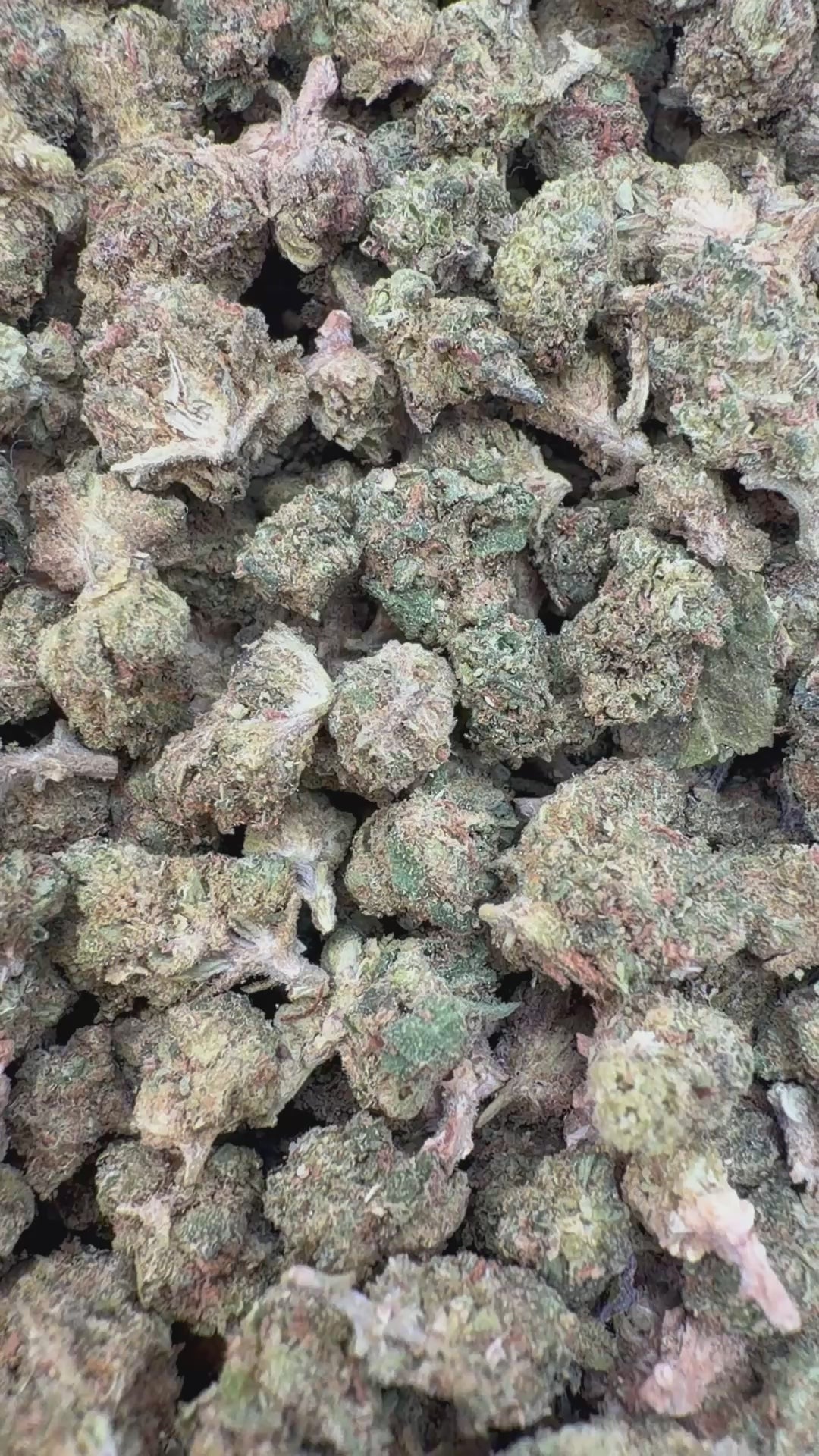 Load video: AK 47 Littles - Bulk Littles - Hybrid