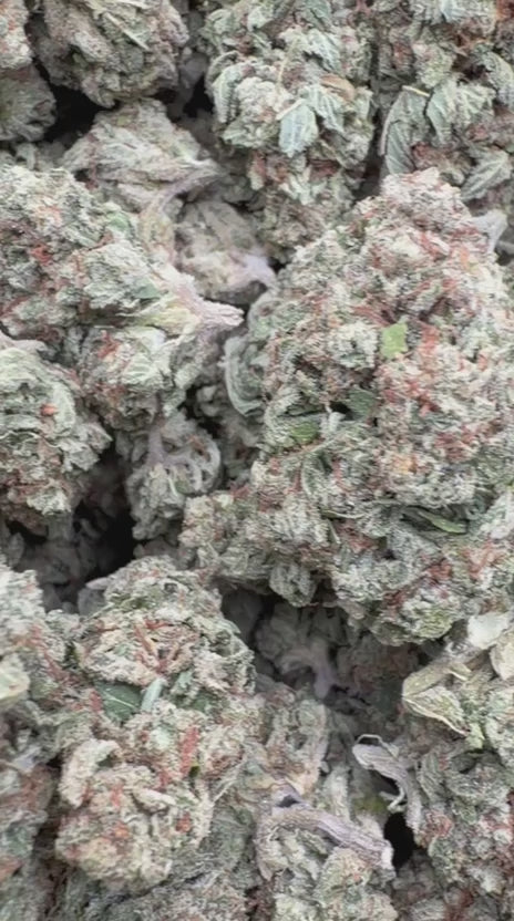 Load video: Private Reserve OG - Bulk - Indica