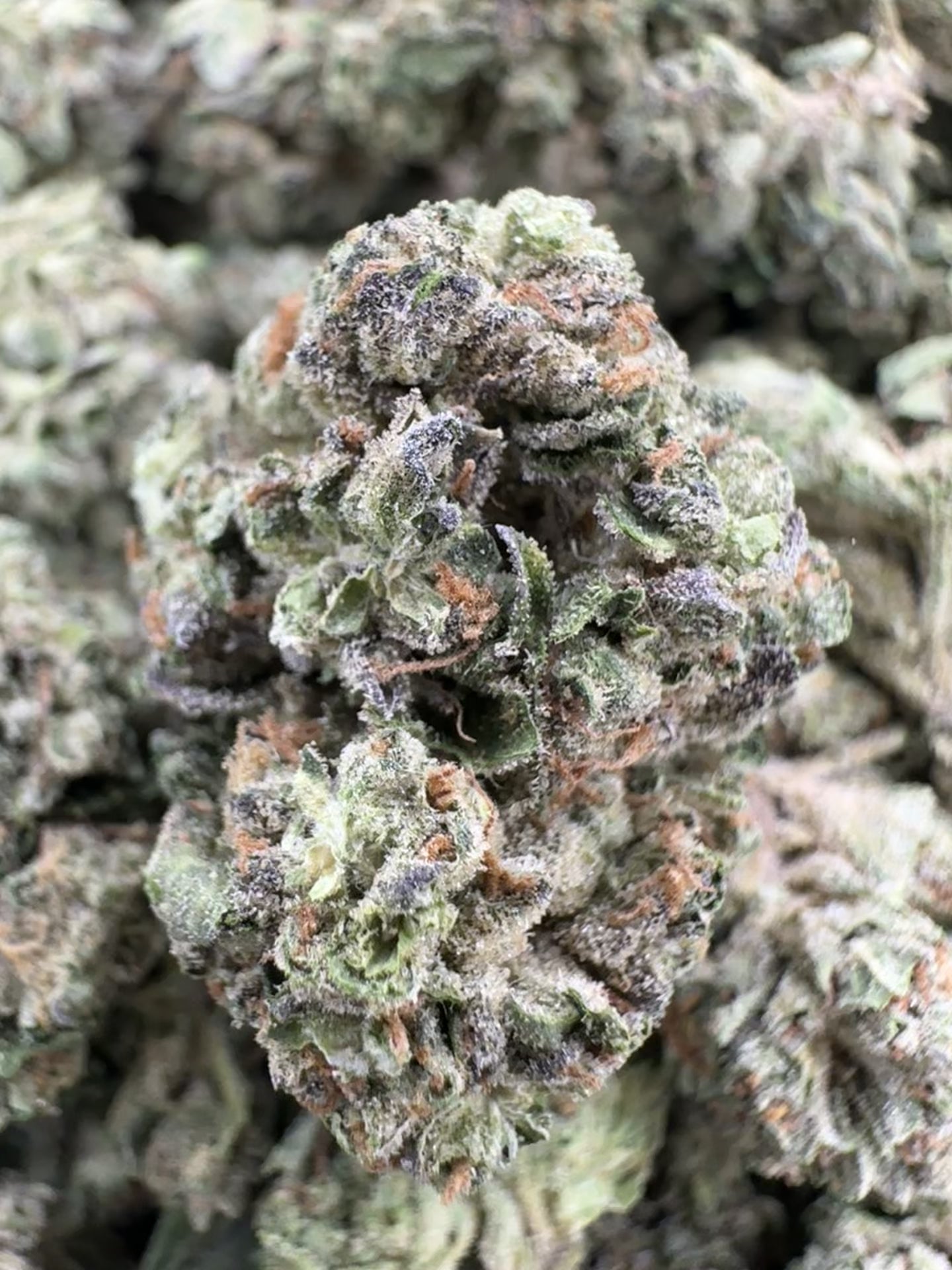 Cargar vídeo: Grape Gas - A granel - Híbrido