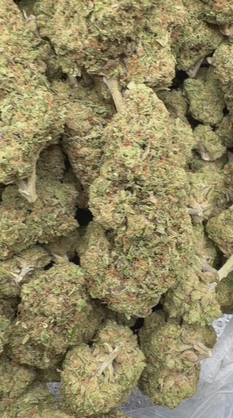 Cargar vídeo: Purple Churro - A granel - Indica 