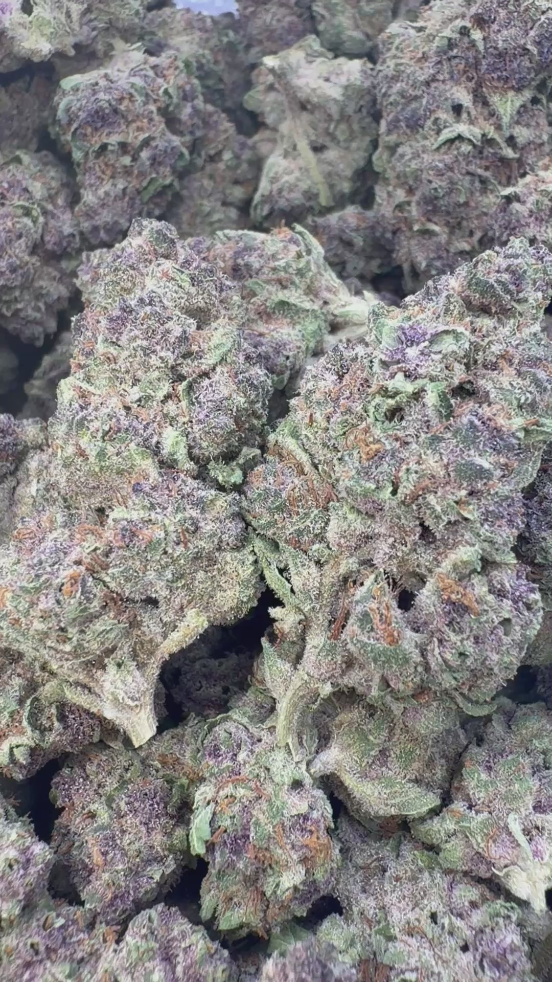 Load video: Forbidden Fruit Indoor - Bulk - Indica