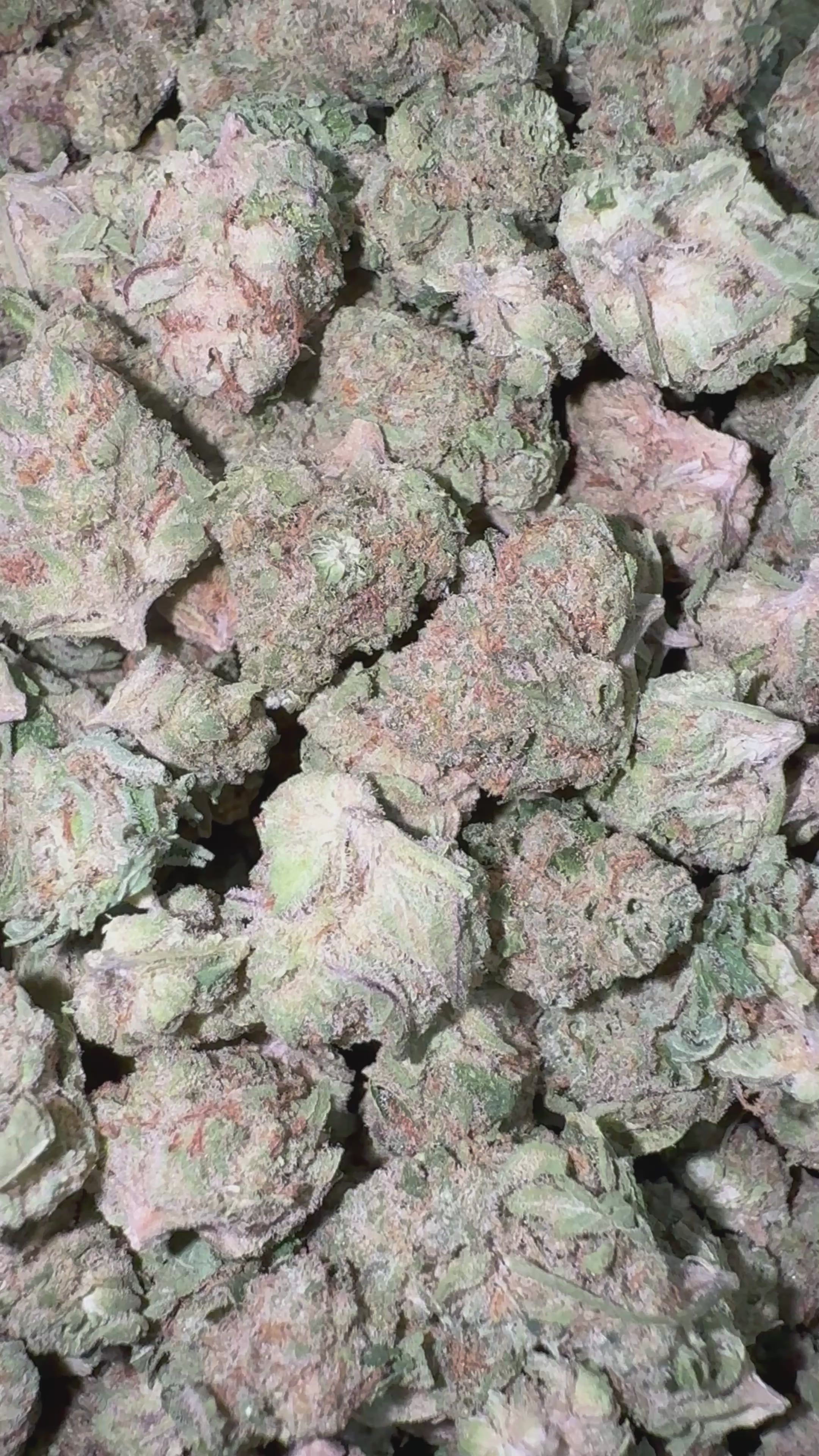 Load video: Slurty Littles - Bulk Littles - Indica