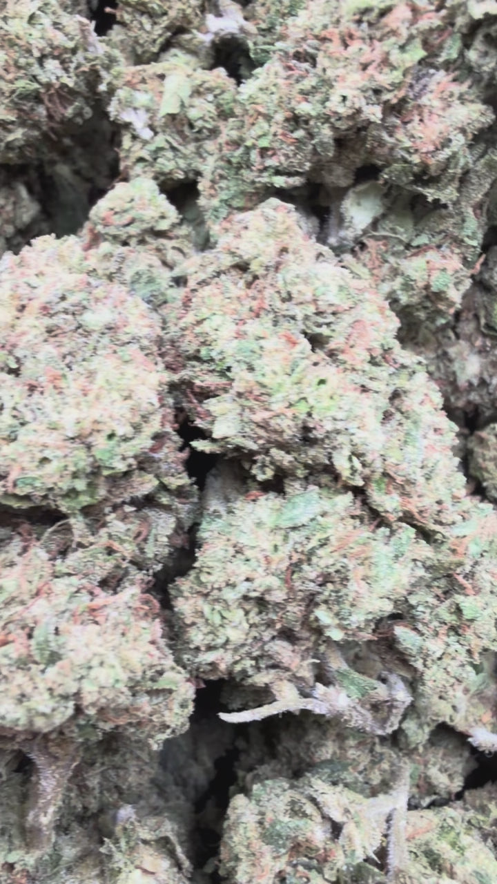 Load video: White Gelato - Bulk - Indica
