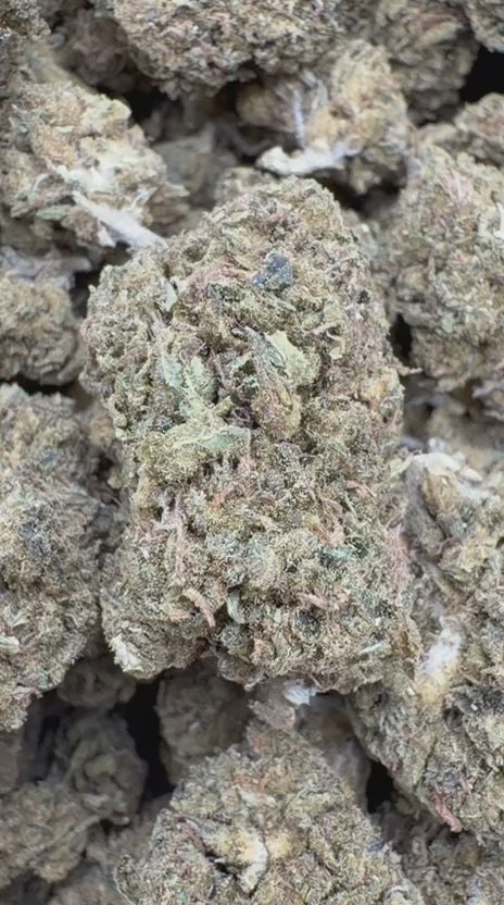 Load video: Hella Jelly - Bulk - Sativa