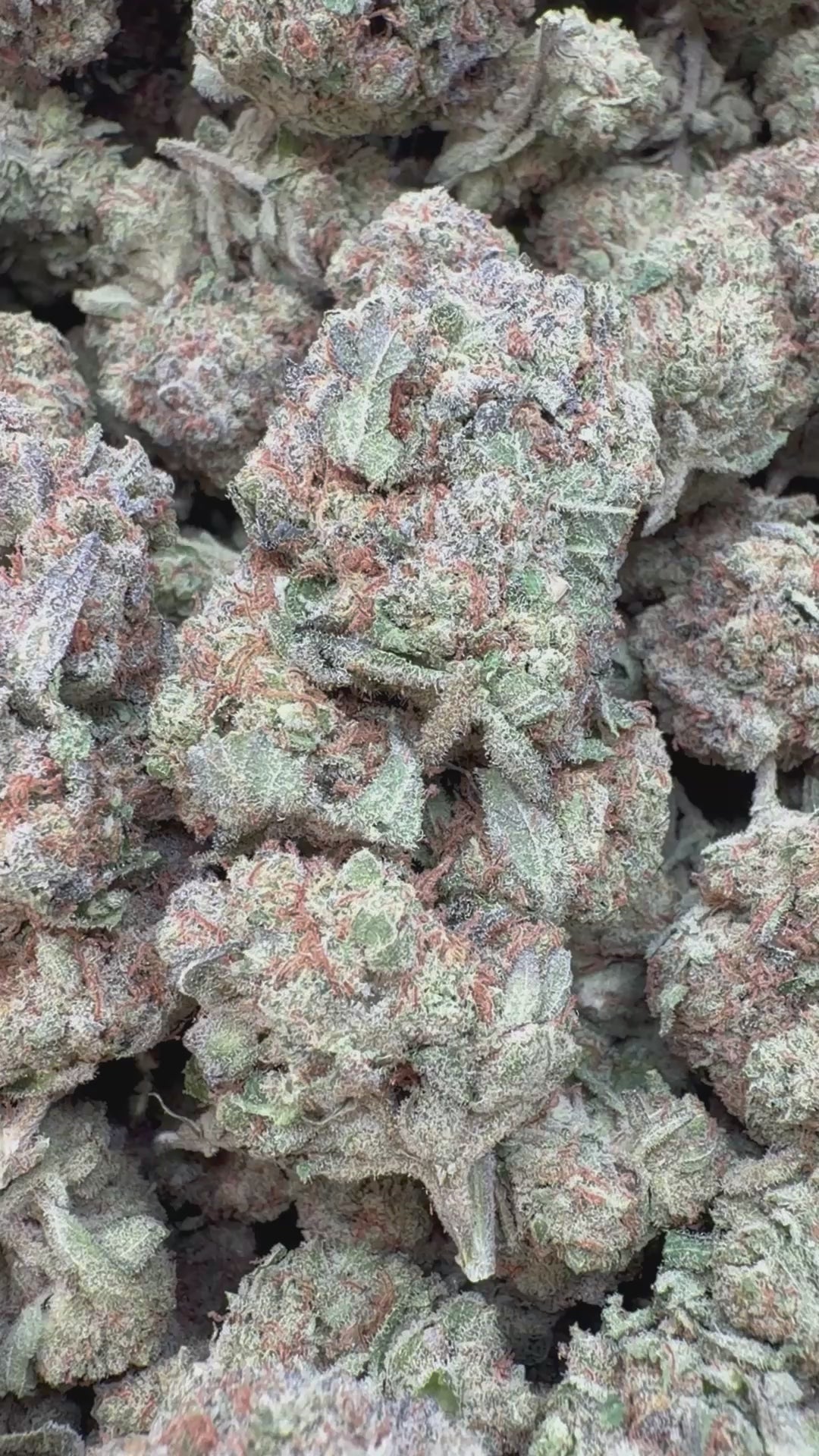 Cargar vídeo: Pan de Cordero - A Granel - Sativa